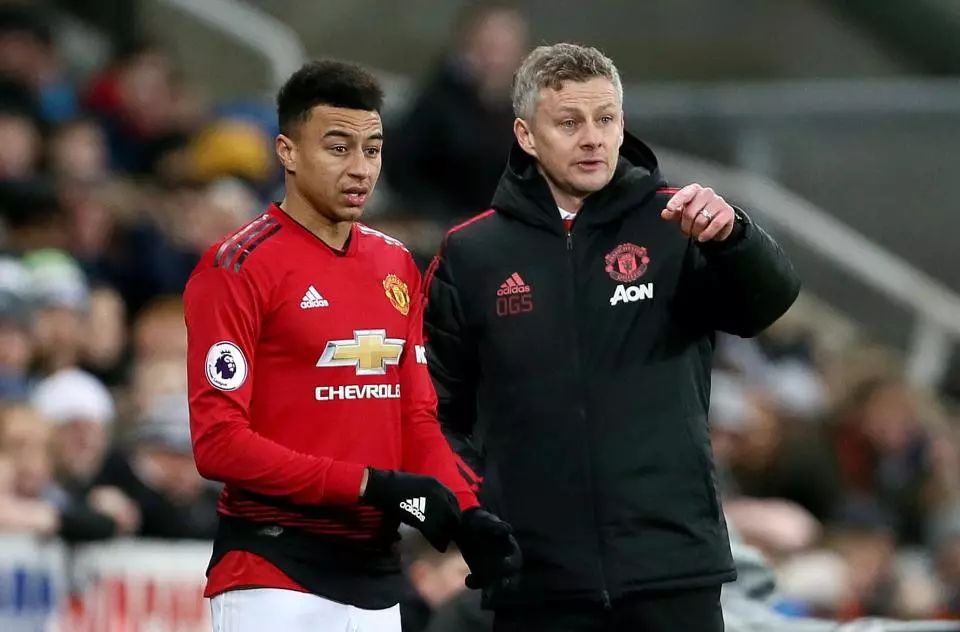 貝利再次造 貝利再次造