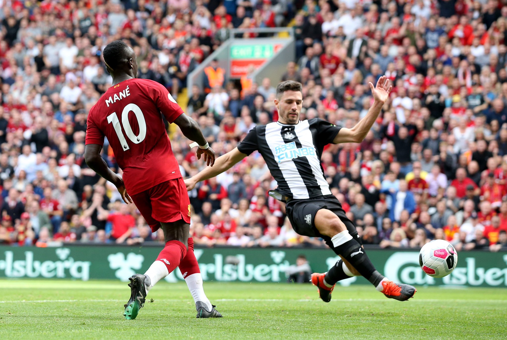 他们将在中 他们将在中